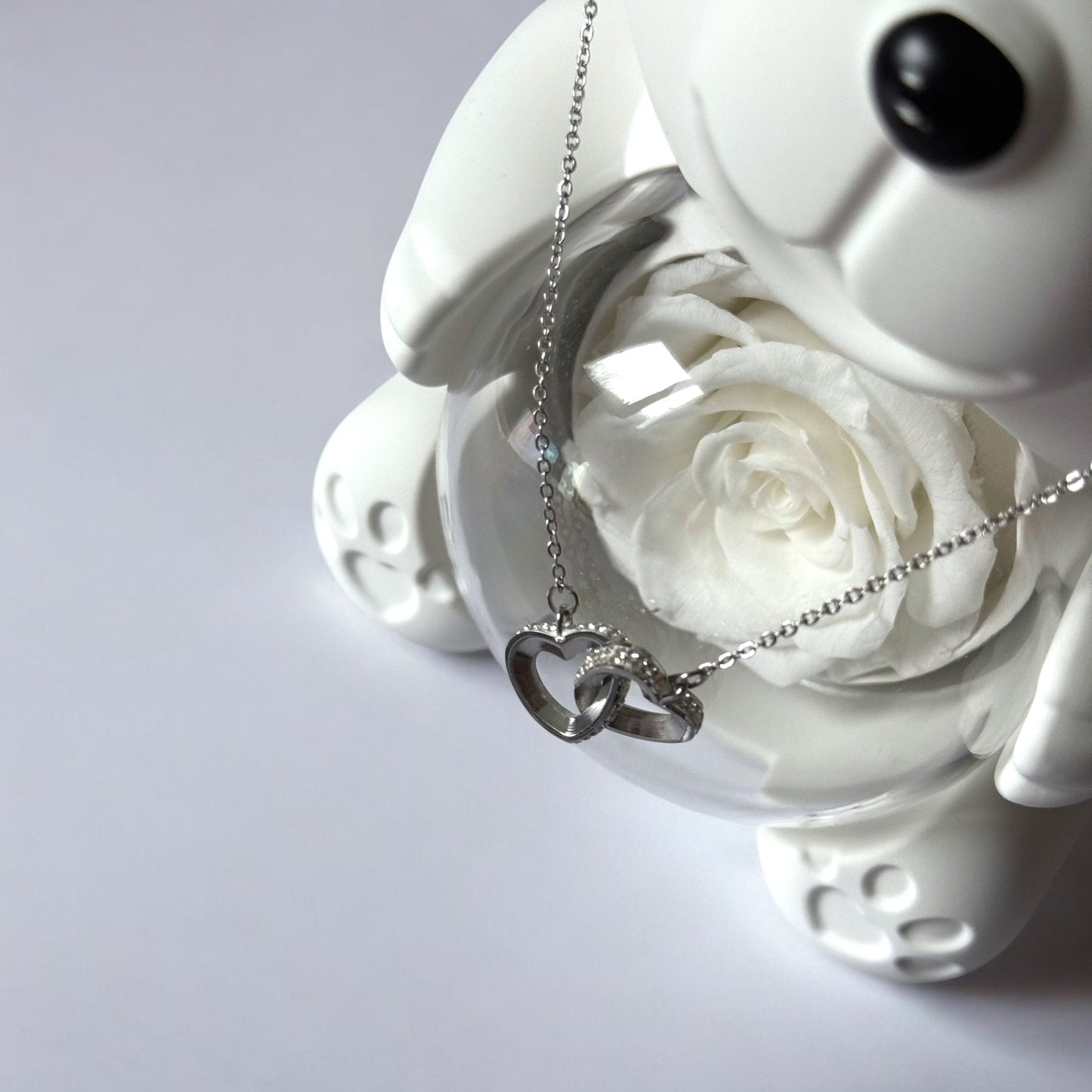 Nounours avec rose éternelle stabilisé