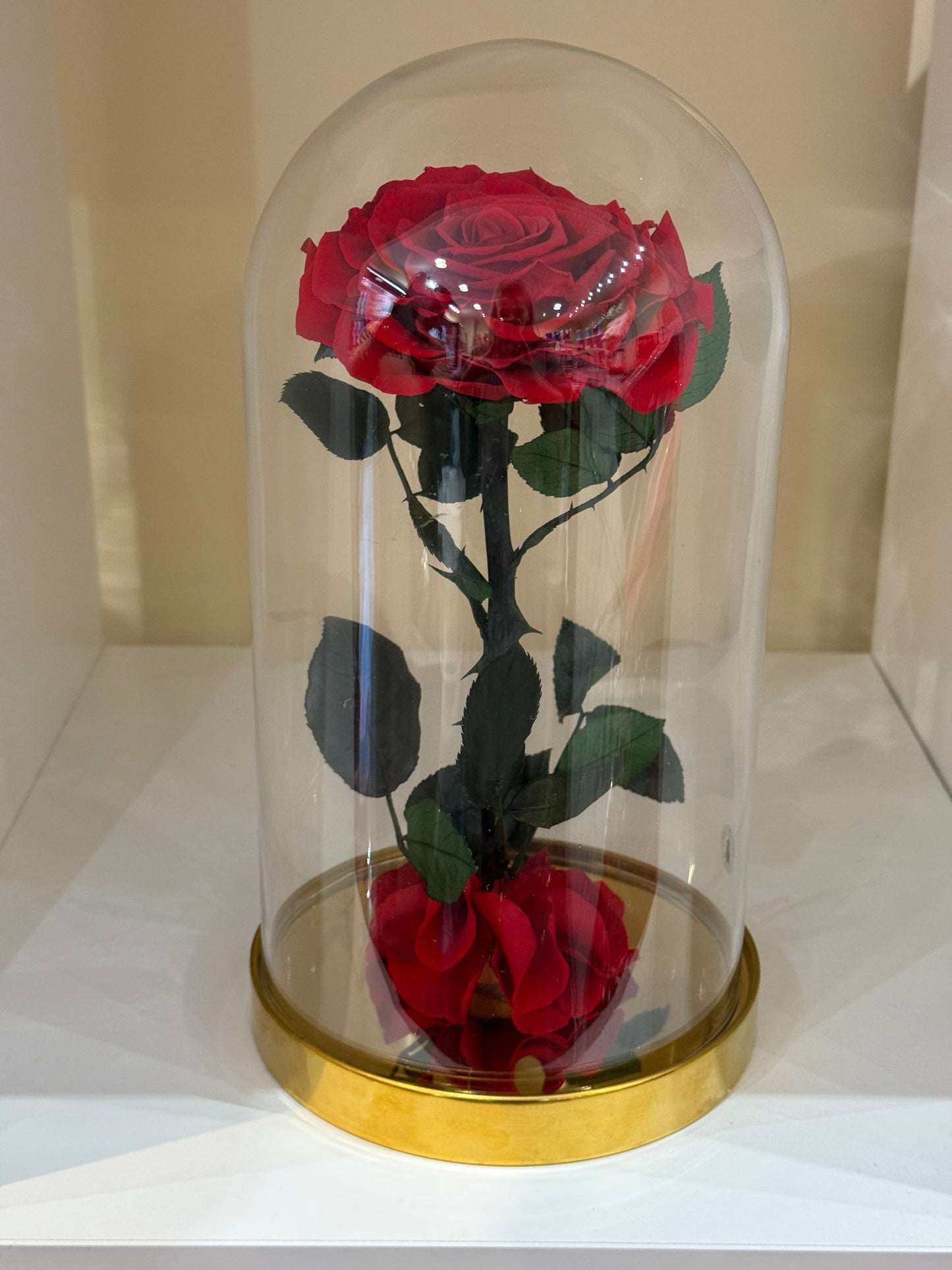 Rose Éternelle Rouge sous Cloche – Cadeau Romantique à Paris