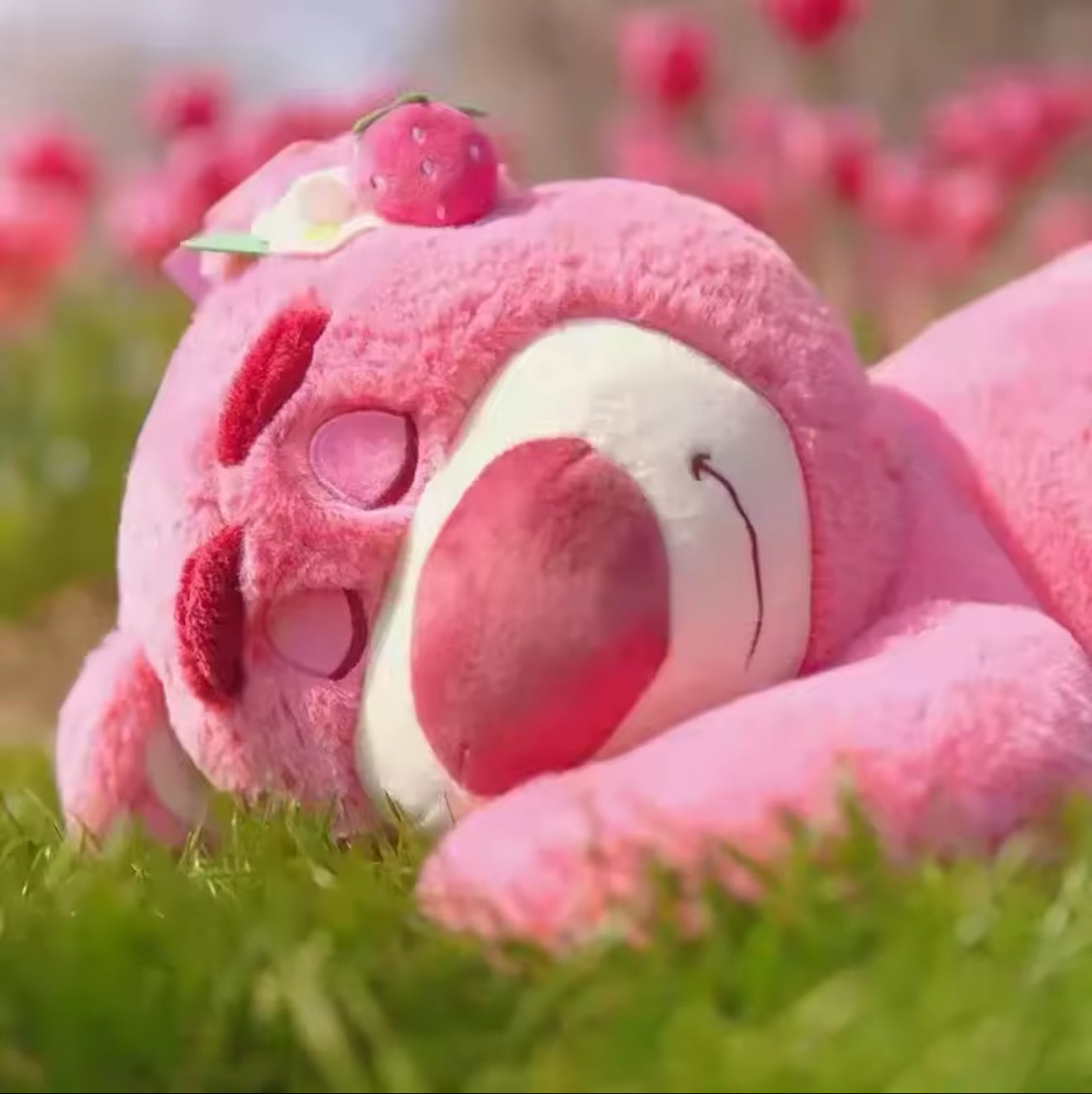 Ourson en Peluche Rose – Douceur Fruité et Rêves Sucrés