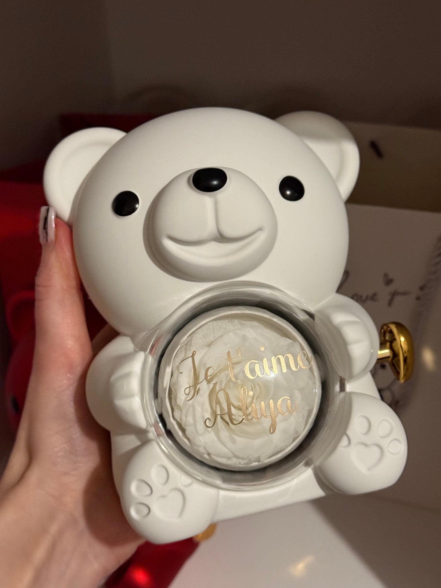 Nounours avec rose éternelle stabilisé + bijoux ♾️