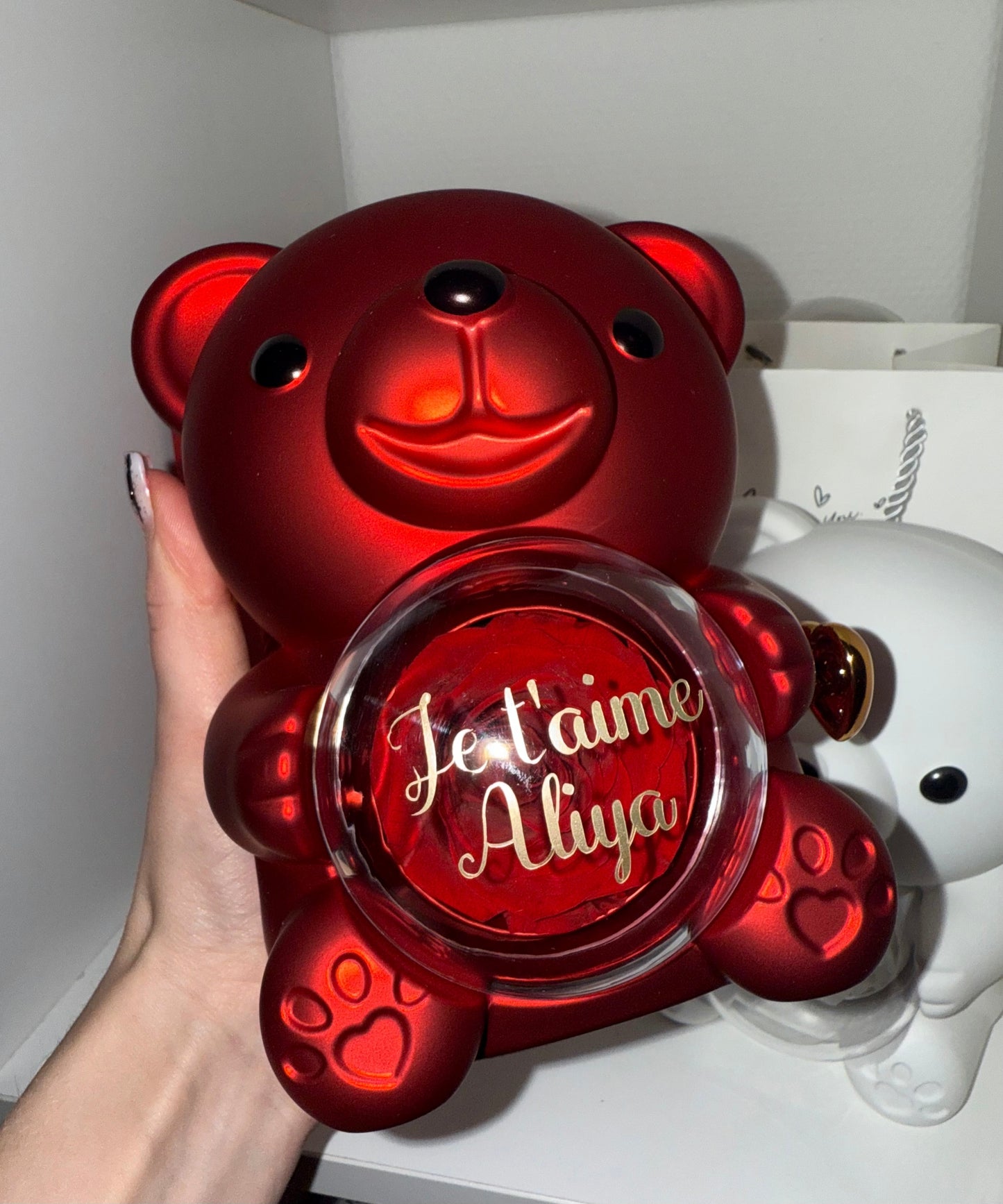 Nounours avec rose éternelle stabilisé + bijoux ♾️