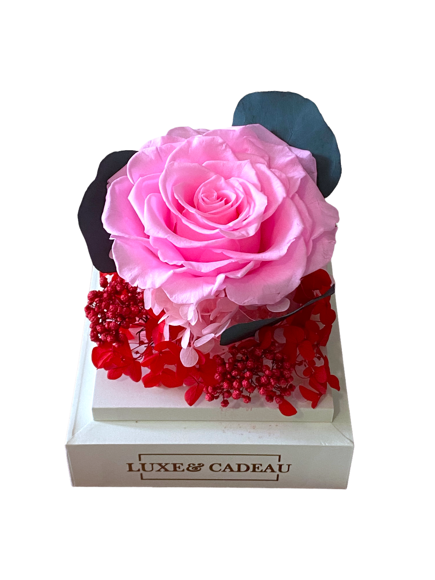 Rose éternelle sous cloche