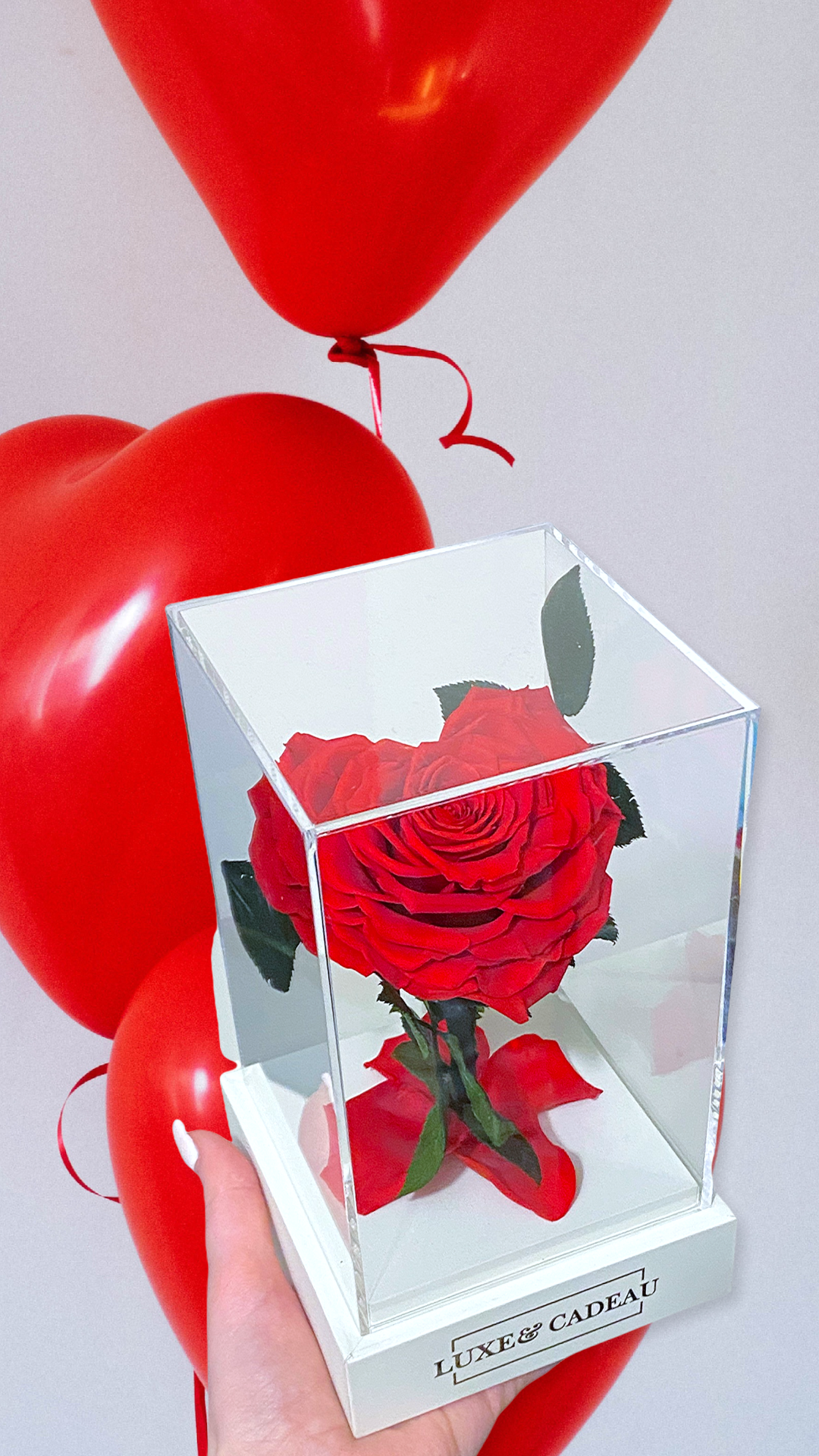 Rose éternelle sous cloche en forme de cœur