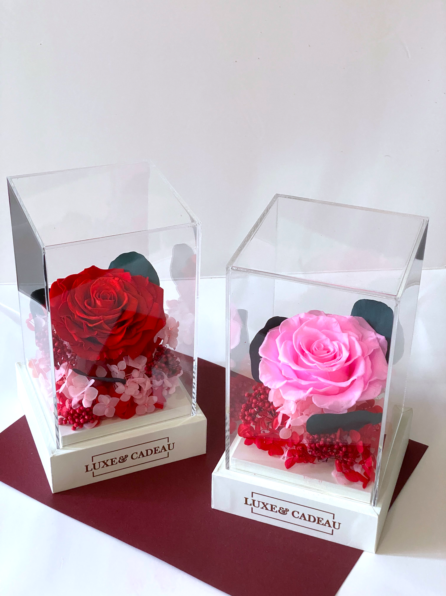 Rose éternelle sous cloche