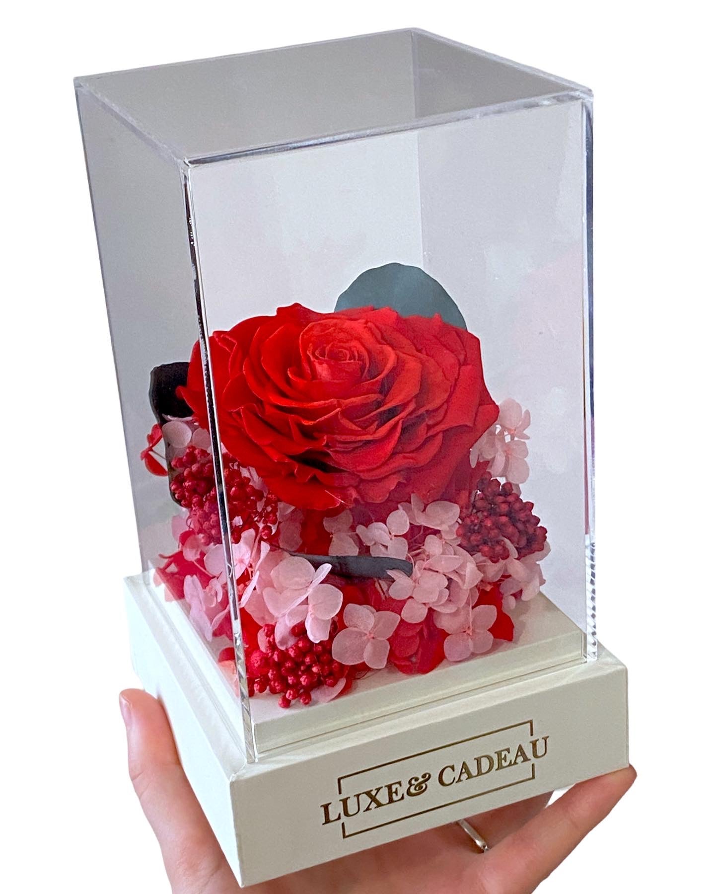 Rose éternelle sous cloche