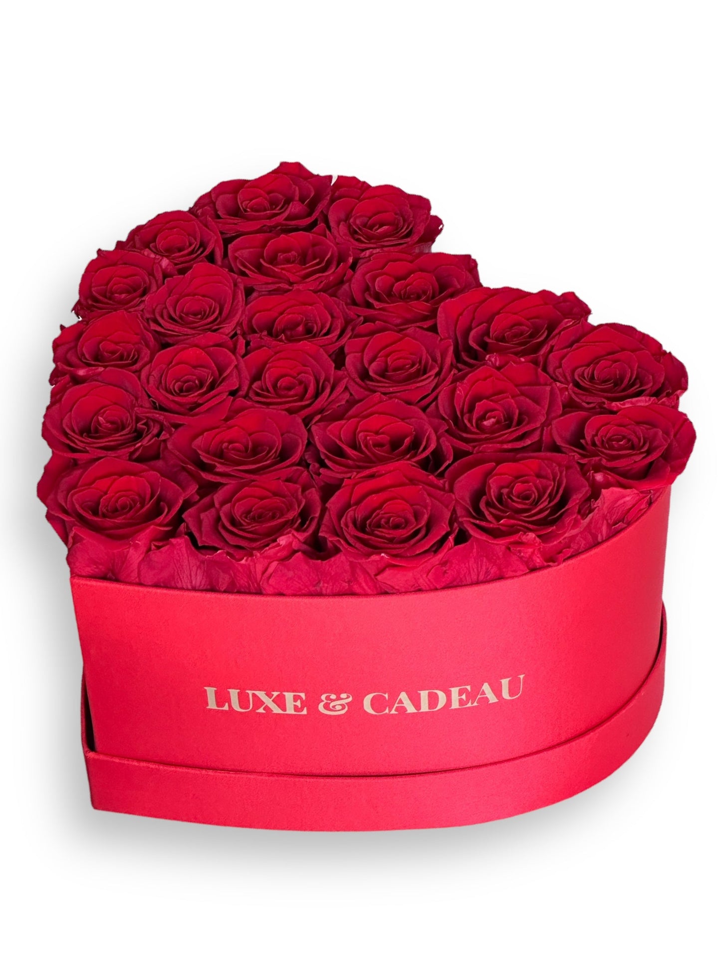 Cœur de roses éternelles stabilisé