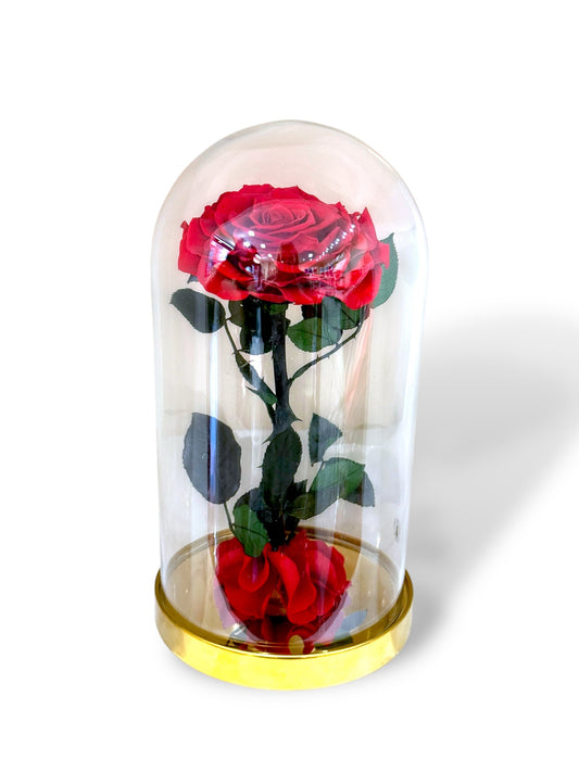 Rose Éternelle Rouge sous Cloche – Cadeau Romantique à Paris
