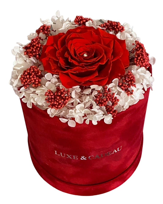 Boîte cadeau avec rose éternelle rouge 100% naturelle, stabilisée, accompagnée de fleurs séchées blanches. Composition raffinée, durée de vie 5 ans, livraison rapide 24/48h