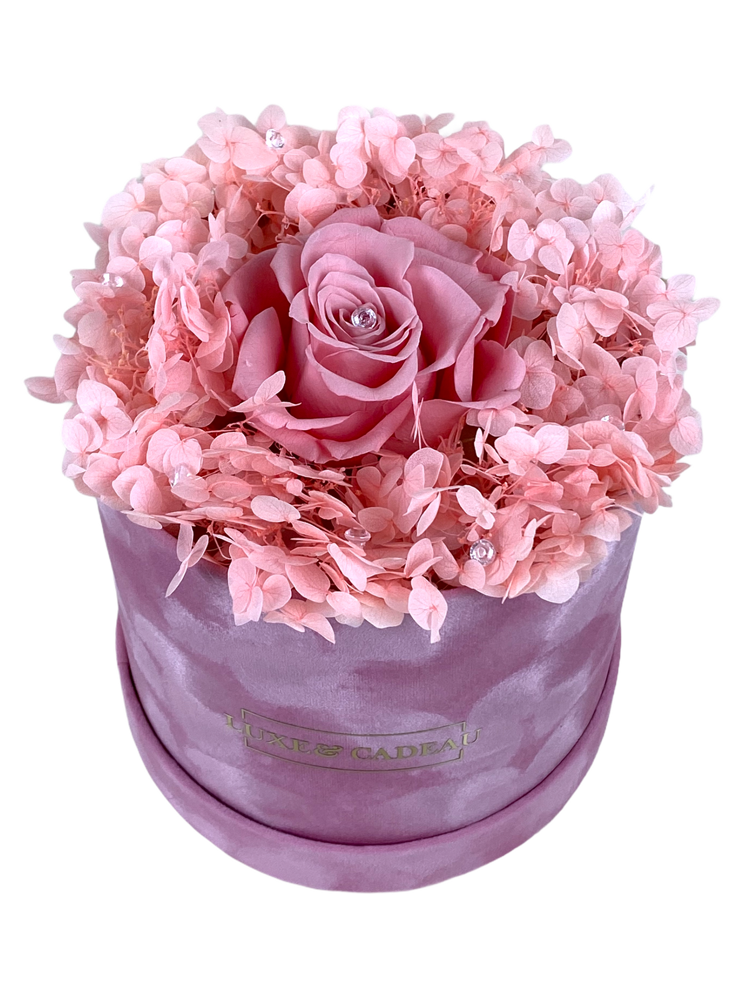 Rose Éternelle Rouge dans Boîte Cadeau – Fleur Naturelle Stabilisée 5 Ans