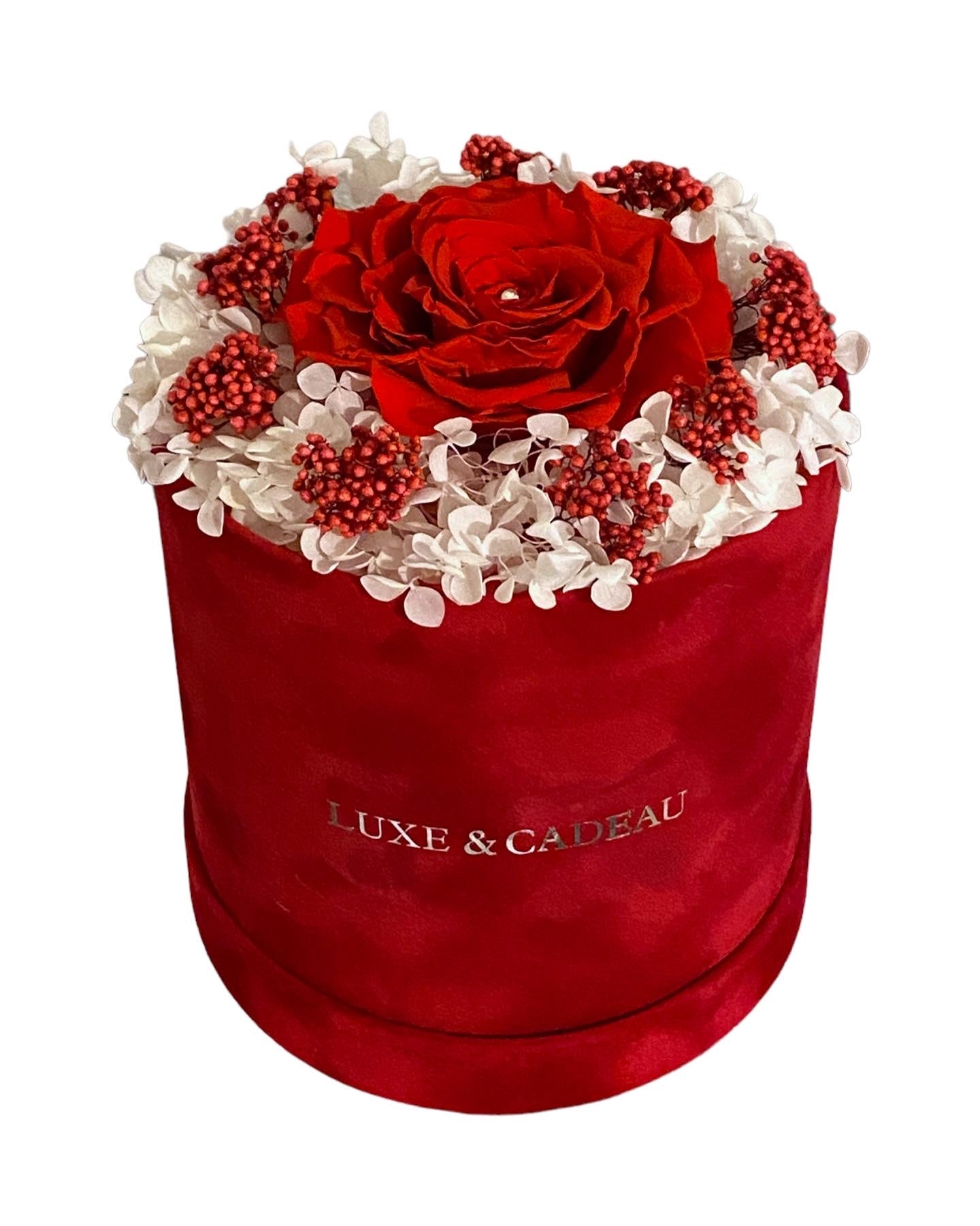Rose Éternelle Rouge dans Boîte Cadeau – Fleur Naturelle Stabilisée 5 Ans